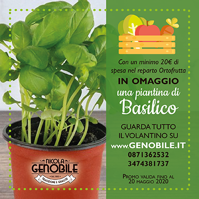 Promo basilico Genobile